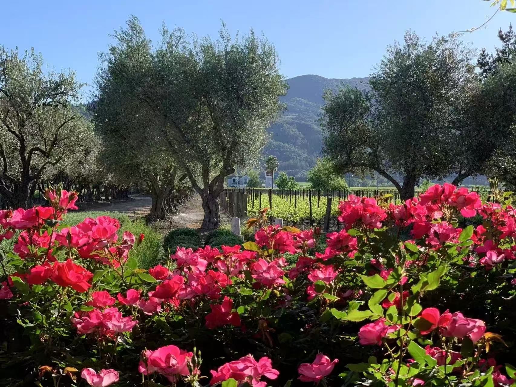 winery2.jpg